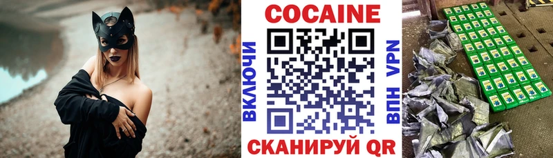 Кокаин Эквадор Высоцк