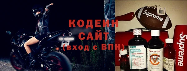 эйфоретик Богданович