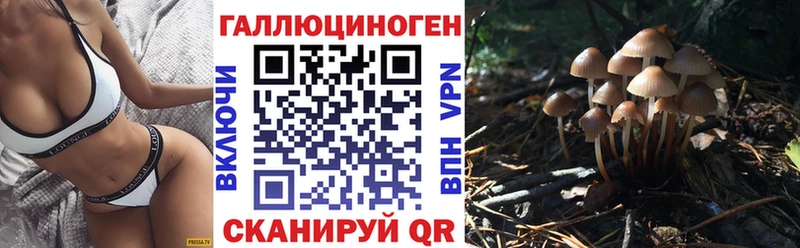 Галлюциногенные грибы мухоморы  Высоцк 