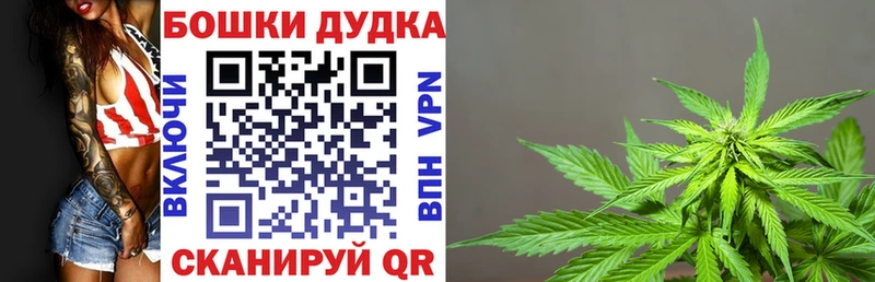 цены наркотик  Высоцк  Конопля индика 